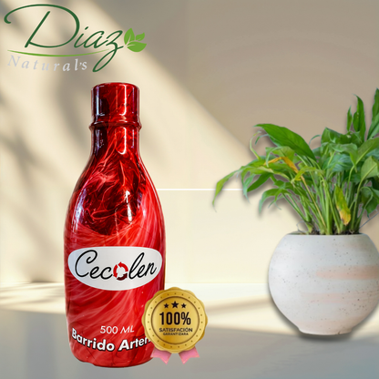 CECOLEN|CIRCULACION SALUDABLE