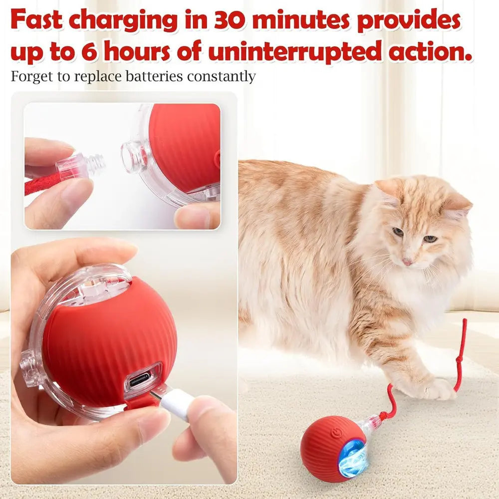 PELOTA INTERACTIVA ELECTRICA MASCOTAS TC
