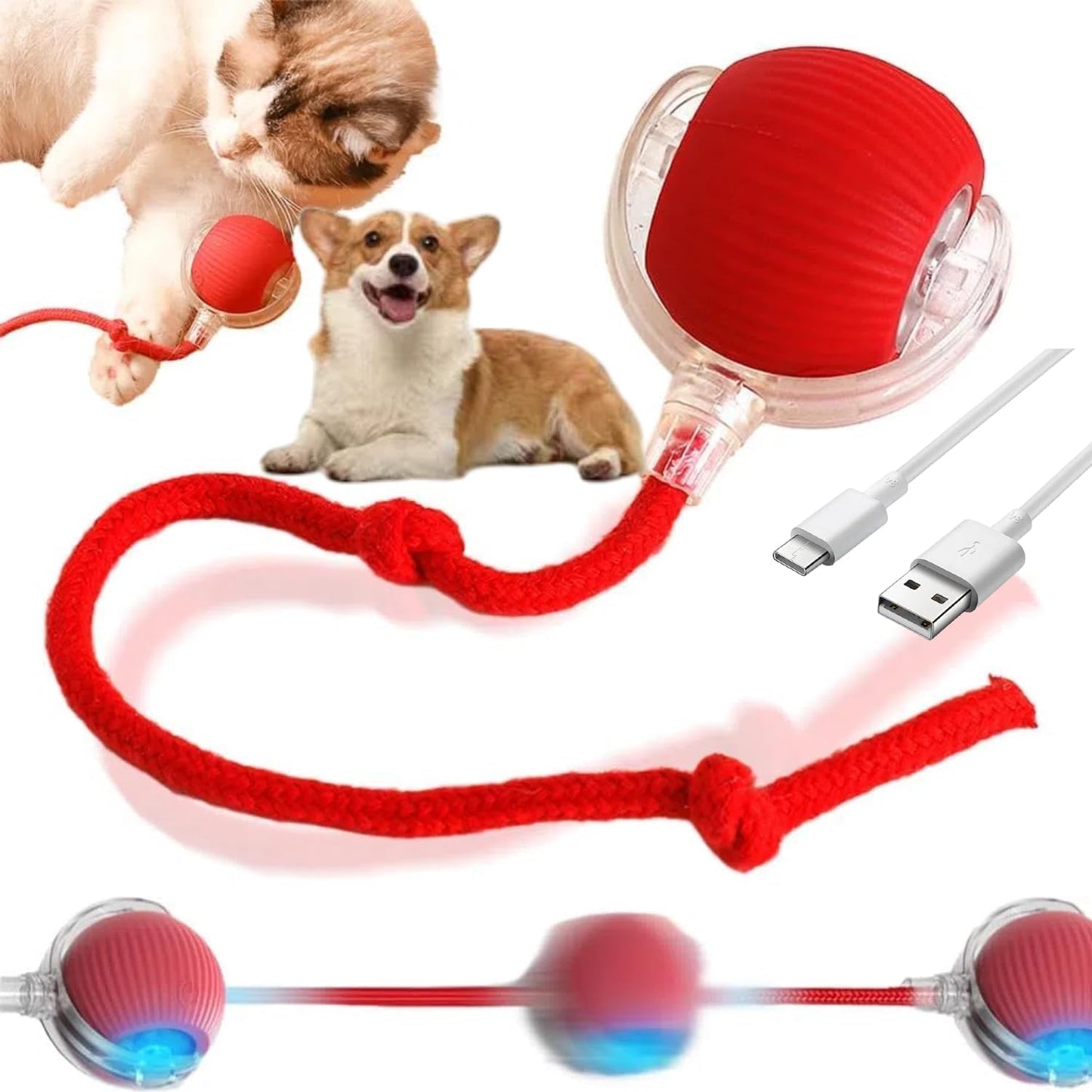 PELOTA INTERACTIVA ELECTRICA MASCOTAS TC