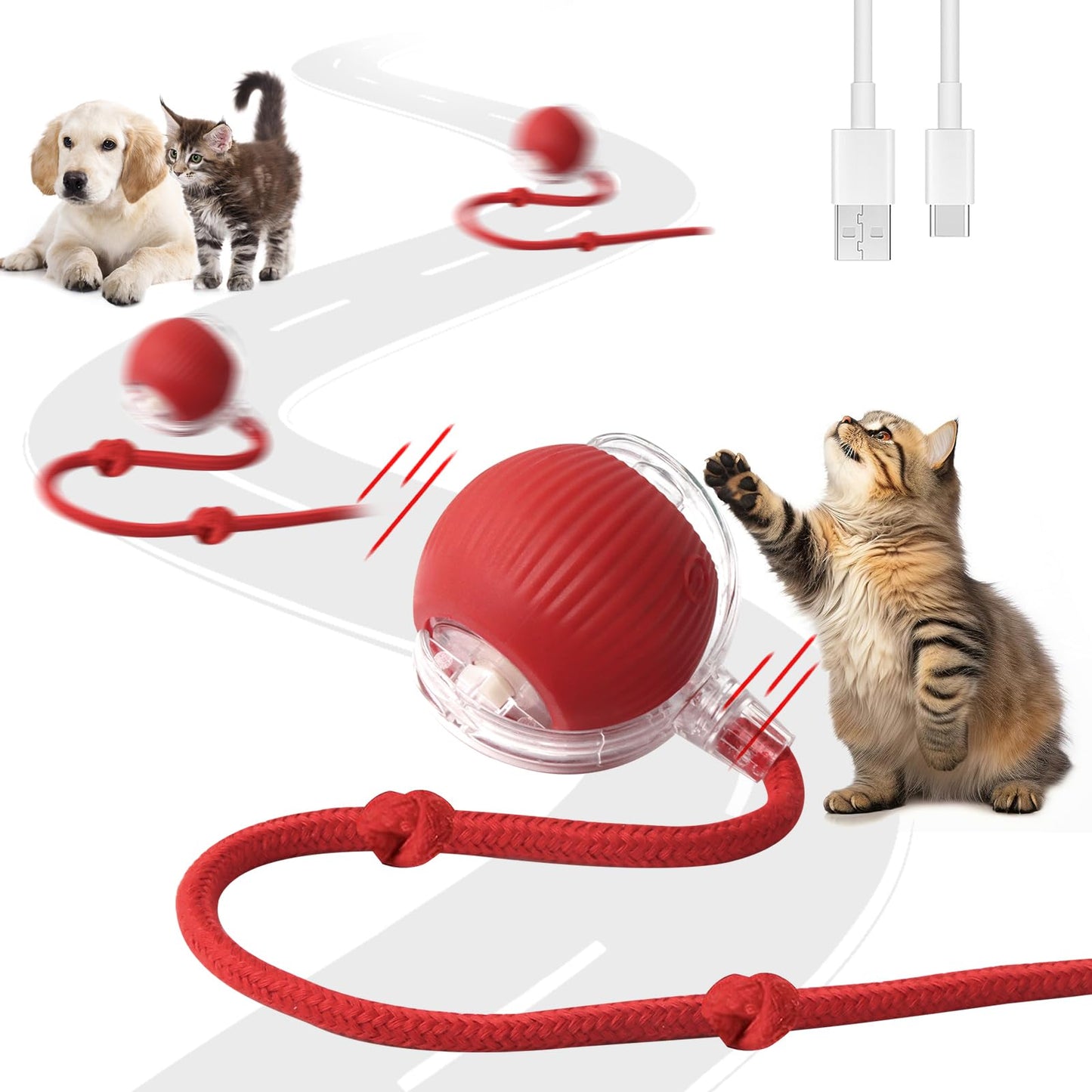 PELOTA INTERACTIVA ELECTRICA MASCOTAS TC