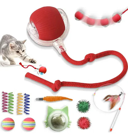 PELOTA INTERACTIVA ELECTRICA MASCOTAS TC