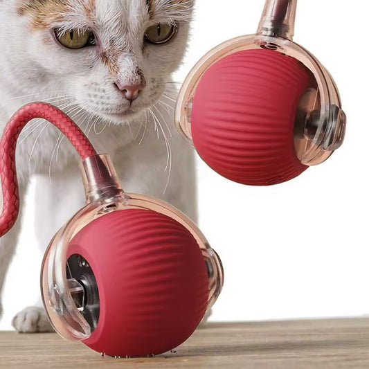 PELOTA INTERACTIVA ELECTRICA MASCOTAS TC