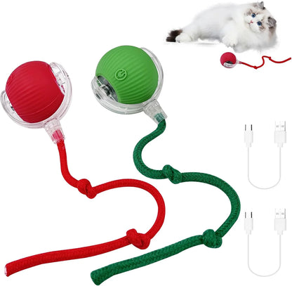 PELOTA INTERACTIVA ELECTRICA MASCOTAS TC