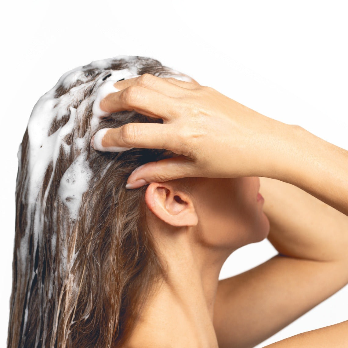 💆‍♀️Shampoo con Extractos Herbales de Origen Natural